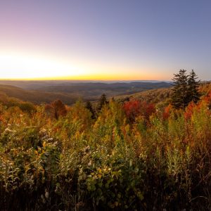 CK1S4757-Pano-2-1