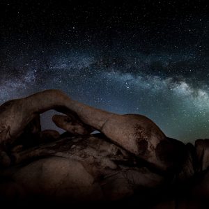 Joshua Tree Milky Way