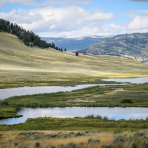 Yellowstone-4